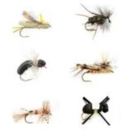 Fulling Mill Terrestrial Selection