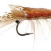 Umpqua 15611 Ultra Shrimp Popovic